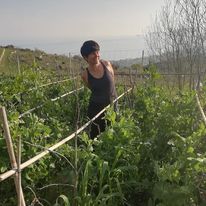 Al lavoro nell'orto!
